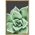 thumbnail image 1 of wall26 Framed Canvas Print Wall Art Close Up Southwest Desert Succulent Cactus Nature Wilderness Photography Realism Floral Botanical Multicolor for Living Room, Bedroom, Office - 16"x24" N, 1 of 5