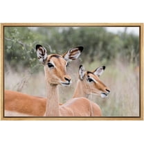 wall26 Framed Canvas Print Wall Art East African Somalian Gerenuk Antelope Duo Nature Animals Photography Realism Rustic Scenic Landscape Colorful for Living Room, Bedroom, Office - 16"x24"