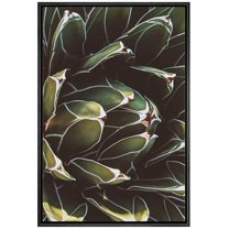 wall26 Framed Canvas Print Wall Art Green Blooming Tropical Desert Succulent Nature Wilderness Photography Realism Floral Botanical Multicolor for Living Room, Bedroom, Office - 24"x36" Bla