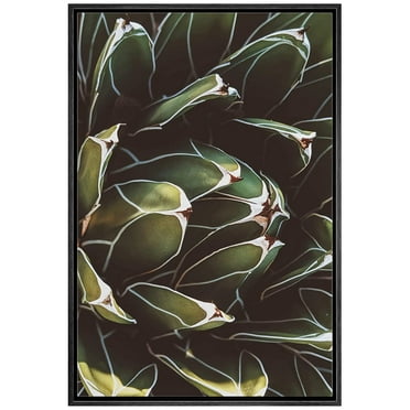 wall26 Framed Canvas Print Wall Art Green Blooming Tropical Desert Succulent Nature Wilderness Photography Realism Floral Botanical Multicolor for Living Room, Bedroom, Office - 24&quot;x36&quot; Bla