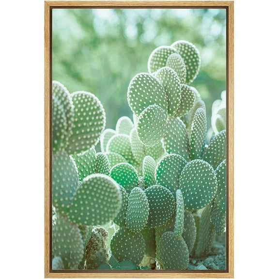 wall26 Framed Canvas Print Wall Art Green Bunny Ear Southwest Succulent Cactus Nature Wilderness Photography Realism Floral Botanical Multicolor for Living Room, Bedroom, Office - 16"x24" N