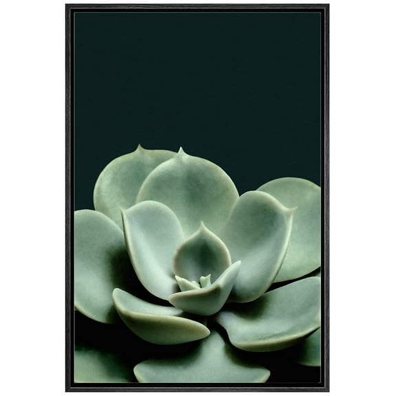 wall26 Framed Canvas Print Wall Art Green Rose Echeveria Desert Succulent Cactus Nature Wilderness Photography Realism Floral Botanical Multicolor for Living Room, Bedroom, Office - 24"x36"