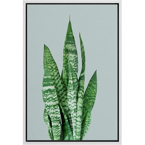 wall26 Framed Canvas Print Wall Art Green &amp; White Stripe Zebra Plant Succulent Nature Wilderness Photography Realism Floral Botanical Multicolor for Living Room, Bedroom, Office - 16"x24&quo