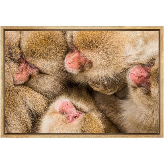 wall26 Framed Canvas Print Wall Art Hamadryas Baboon Macaque Monkey Portrait Nature Animals Photography Realism Rustic Scenic Landscape Colorful for Living Room, Bedroom, Office - 16"x24" N
