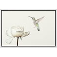 thumbnail image 1 of wall26 Framed Canvas Print Wall Art Hummingbird Flies On White Carnation Flower Animals Wildlife Realism Rustic Scenic Nature Chic Colorful for Living Room, Bedroom, Office - 16"x24" White, 1 of 5