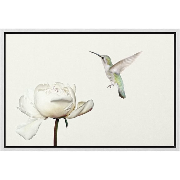 wall26 Framed Canvas Print Wall Art Hummingbird Flies On White Carnation Flower Animals Wildlife Realism Rustic Scenic Nature Chic Colorful for Living Room, Bedroom, Office - 16"x24" White