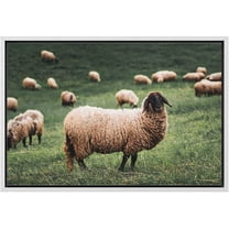 wall26 Framed Canvas Print Wall Art Ireland Scotland Sheep Countryside Farm Nature Animals Photography Realism Rustic Scenic Landscape Colorful for Living Room, Bedroom, Office - 24"x36" Wh