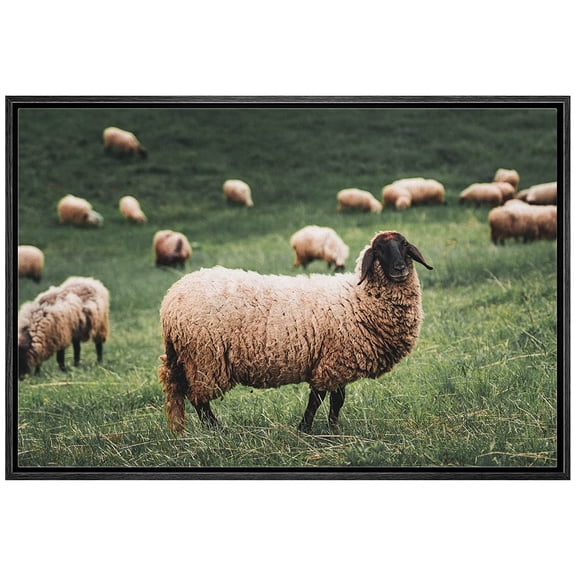 wall26 Framed Canvas Print Wall Art Ireland Scotland Sheep Countryside Farm Nature Animals Photography Realism Rustic Scenic Landscape Colorful for Living Room, Bedroom, Office - 16"x24" Bl