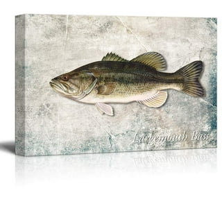 Bass Fish Art