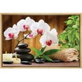 thumbnail image 1 of wall26 Framed Canvas Print Wall Art Magnolia Flowers with Massage Rocks &amp; Candles Floral Nature Photography Realism Zen Relax/Calm Multicolor Ultra for Living Room, Bedroom, Office - 16"x24&, 1 of 5