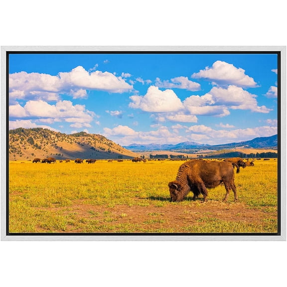 wall26 Framed Canvas Print Wall Art Montana Mountain Cloudy Valley Bison Buffalo Nature Animals Photography Realism Rustic Scenic Landscape Colorful for Living Room, Bedroom, Office - 24"x36&quo