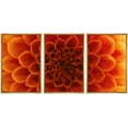 thumbnail image 1 of wall26 Framed Canvas Print Wall Art Orange Chrysanthemum Flower Petal Close Up Floral Botanical Photography Modern Rustic Relax/Calm Colorful for Living Room, Bedroom, Office - 16"x24"x3 Na, 1 of 5
