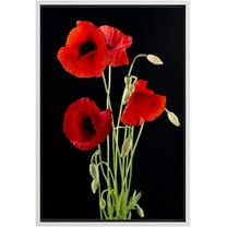 wall26 Framed Canvas Print Wall Art Red Poppy Bouquet on Dark Background Floral Botanical Photography Modern Art Rustic Scenic Relax/Calm Dark for Living Room, Bedroom, Office - 24"x36" Whi