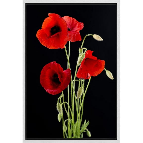 wall26 Framed Canvas Print Wall Art Red Poppy Bouquet on Dark Background Floral Botanical Photography Modern Art Rustic Scenic Relax/Calm Dark for Living Room, Bedroom, Office - 24"x36" Whi