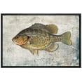 thumbnail image 1 of wall26 Framed Canvas Print Wall Art Redear Sunfish on Granite Background Marine Life Animals Digital Art Realism Nautical Scenic Colorful Ultra for Living Room, Bedroom, Office - 16"x24" Bl, 1 of 5