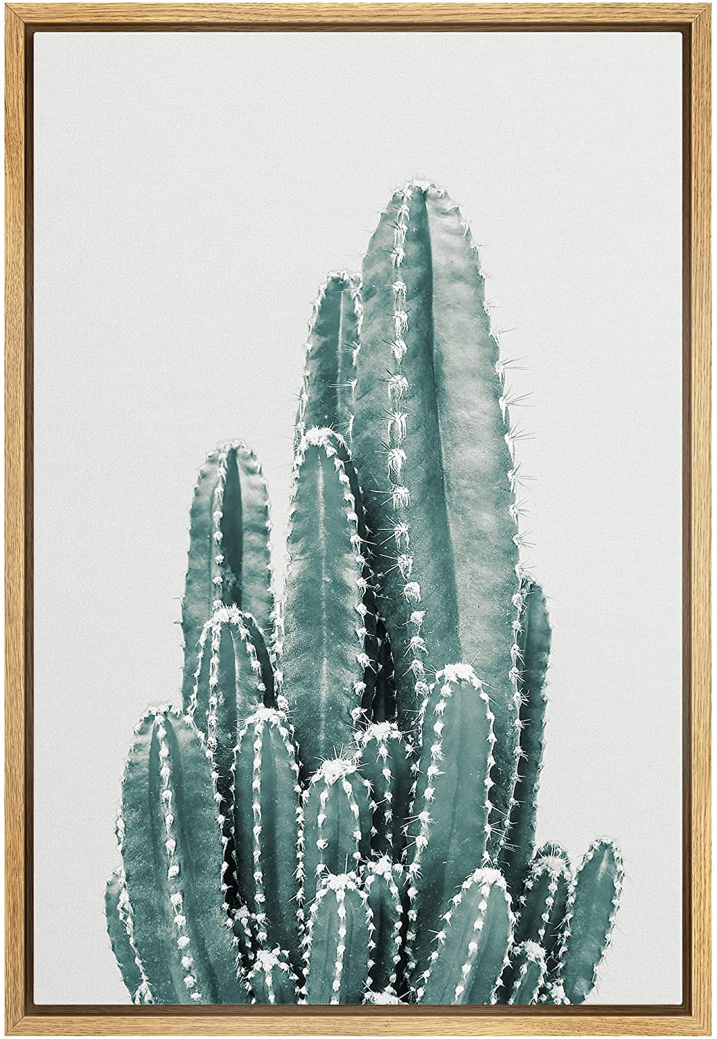 wall26 Framed Canvas Print Wall Art Retro Vintage Southwest Desert Saguaro  Cactus Nature Wilderness Photography Realism Floral Botanical Multicolor for  Living Room, Bedroom, Office 24quot;x36quot
