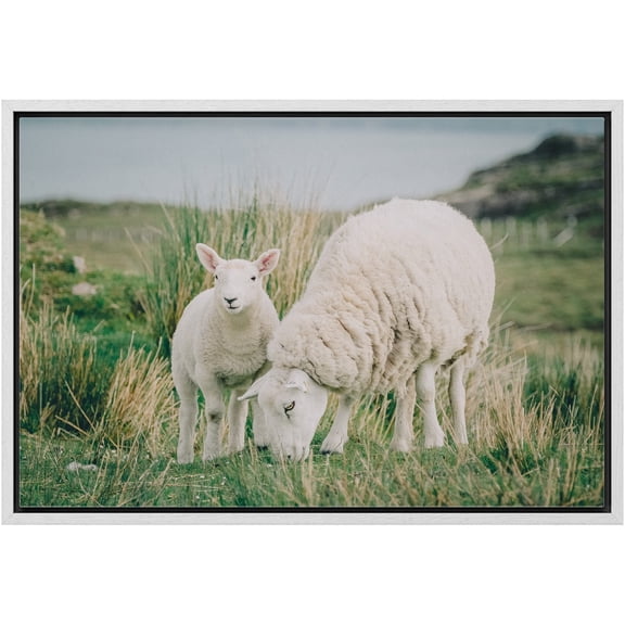 wall26 Framed Canvas Print Wall Art Scotland Ireland Countryside Farm Sheep Lamb Nature Animals Photography Realism Rustic Scenic Landscape Colorful for Living Room, Bedroom, Office - 16"x24&quo