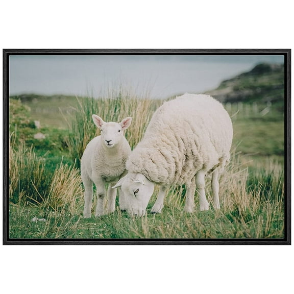 wall26 Framed Canvas Print Wall Art Scotland Ireland Countryside Farm Sheep Lamb Nature Animals Photography Realism Rustic Scenic Landscape Colorful for Living Room, Bedroom, Office - 16"x24&quo
