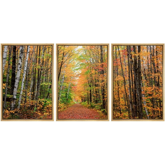 wall26 Framed Canvas Print Wall Art Set Autumn Fall Orange Tree Leaf Forest Trail Nature Wilderness Photography Realism Rustic Landscape Colorful for Living Room, Bedroom, Office - 24"x36"x
