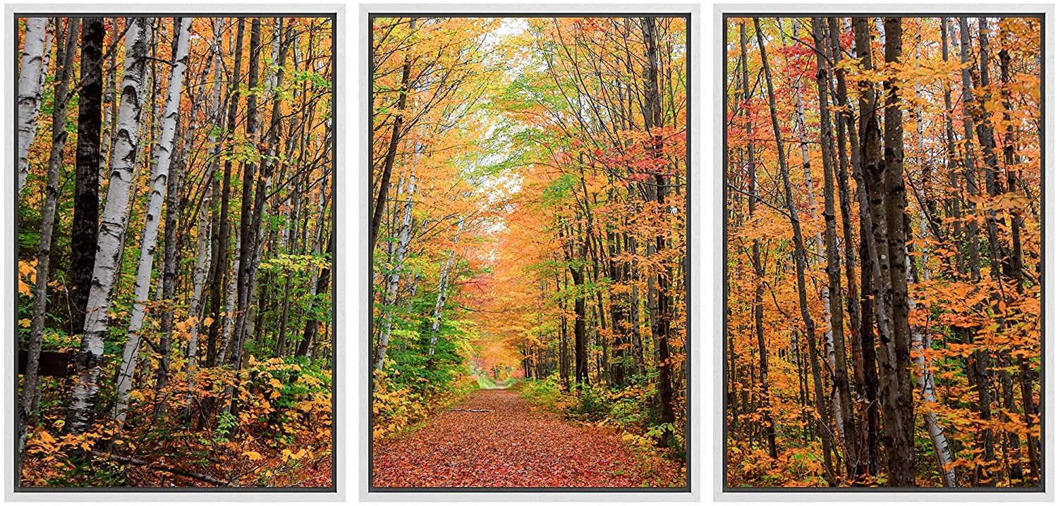 wall26 Framed Canvas Print Wall Art Set Autumn Fall Orange Tree Leaf ...