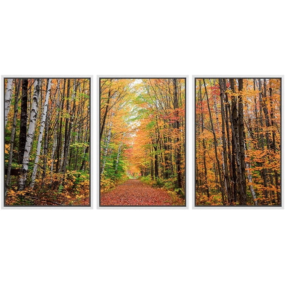 wall26 Framed Canvas Print Wall Art Set Autumn Fall Orange Tree Leaf Forest Trail Nature Wilderness Photography Realism Rustic Landscape Colorful for Living Room, Bedroom, Office - 24"x36"x
