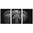 thumbnail image 1 of wall26 Framed Canvas Print Wall Art Set Black and White Elephant Portrait Animals Nature Photography Realism Rustic Scenic Dark Country Ultra for Living Room, Bedroom, Office - 24"x36"x3 WH, 1 of 5