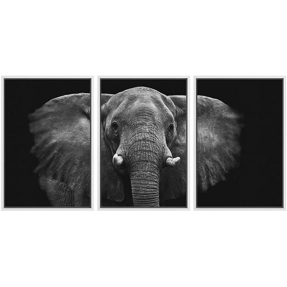 wall26 Framed Canvas Print Wall Art Set Black and White Elephant Portrait Animals Nature Photography Realism Rustic Scenic Dark Country Ultra for Living Room, Bedroom, Office - 16"x24"x3 WH