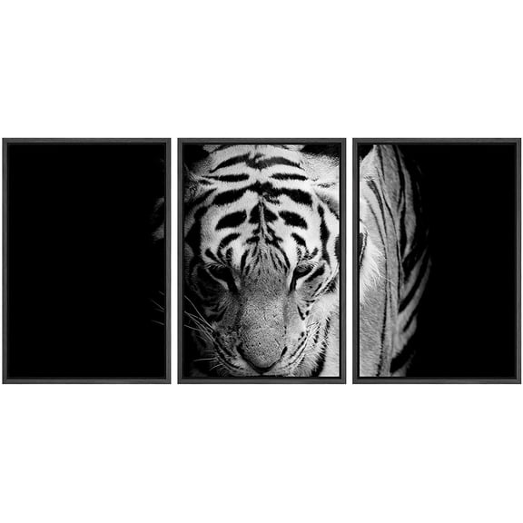 wall26 Framed Canvas Print Wall Art Set Black &amp; White African Tiger Portrait Animals Wildlife Photography Realism Rustic Scenic Relax/Calm Nature for Living Room, Bedroom, Office - 24"x36&qu
