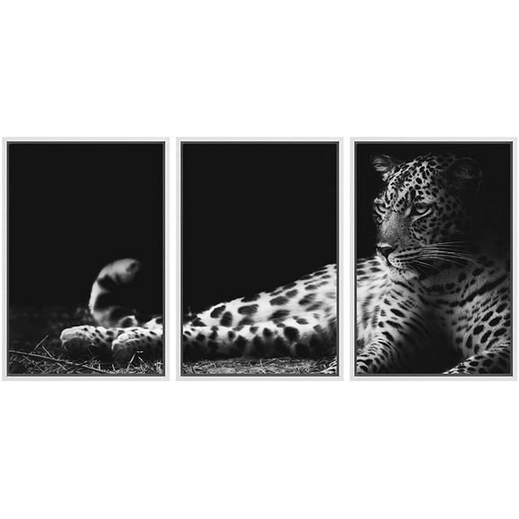 wall26 Framed Canvas Print Wall Art Set Black &amp; White Leopard Portrait Animals Wildlife Realism Rustic Scenic Relax/Calm Nature Wilderness for Living Room, Bedroom, Office - 24"x36"x3 W