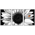 thumbnail image 1 of wall26 Framed Canvas Print Wall Art Set Black &amp; White Sunflower with Red Ladybug Floral Botanical Modern Art Rustic Colorful Ultra for Living Room, Bedroom, Office - 16&quot;x24&quot;x3 White, 1 of 5