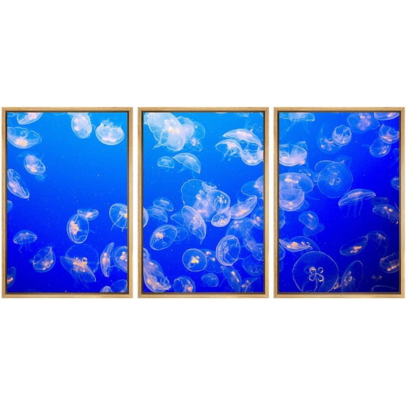 wall26 Framed Canvas Print Wall Art Set Blue &amp; Yellow Tropical Coral Reef Ocean Fish Nature Animals Photography Realism Rustic Landscape Colorful for Living Room, Bedroom, Office - 16"x24&qu