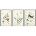 thumbnail image 1 of wall26 Framed Canvas Print Wall Art Set Brown &amp; White Victorian Style Flowers Nature Floral Illustrations Realism Rustic Scenic Wilderness for Living Room, Bedroom, Office - 16"x24"x3 W, 1 of 5