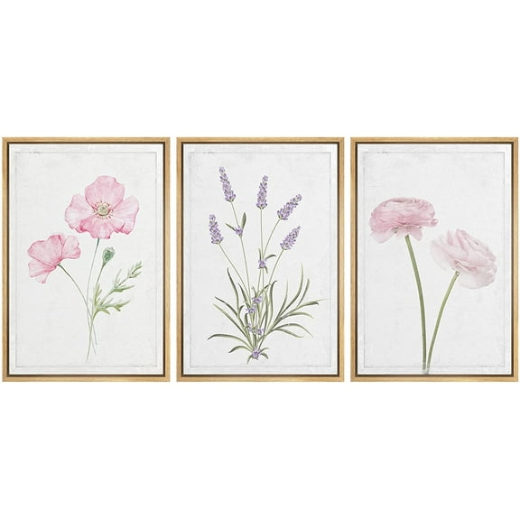 wall26 Framed Canvas Print Wall Art Set Daisy, Lavender &amp; Rose Flower Variety Floral Wilderness Illustrations Minimalism Rustic Colorful Ultra for Living Room, Bedroom, Office - 16"x24"