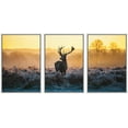 thumbnail image 1 of wall26 Framed Canvas Print Wall Art Set Deer in Golden Light at Dawn Nature Wilderness Photography Realism Rustic Scenic Relax/Calm Multicolor for Living Room, Bedroom, Office - 16"x24"x3 W, 1 of 5