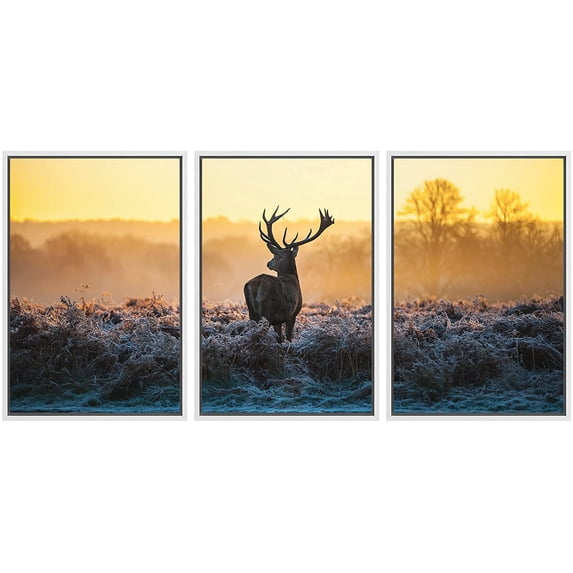 wall26 Framed Canvas Print Wall Art Set Deer in Golden Light at Dawn Nature Wilderness Photography Realism Rustic Scenic Relax/Calm Multicolor for Living Room, Bedroom, Office - 16"x24"x3 W