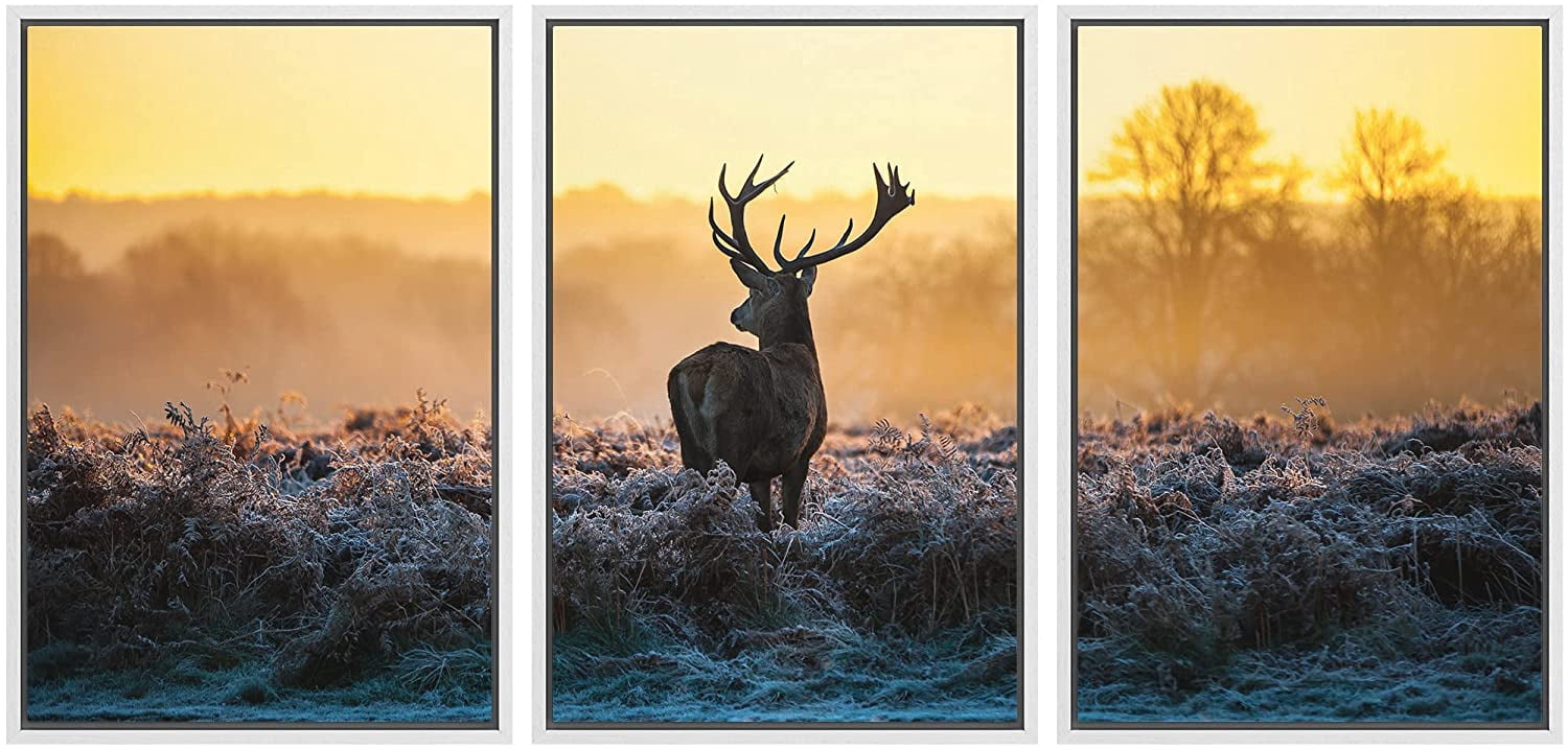 wall26 Framed Canvas Print Wall Art Set Deer in Golden Light at Dawn ...