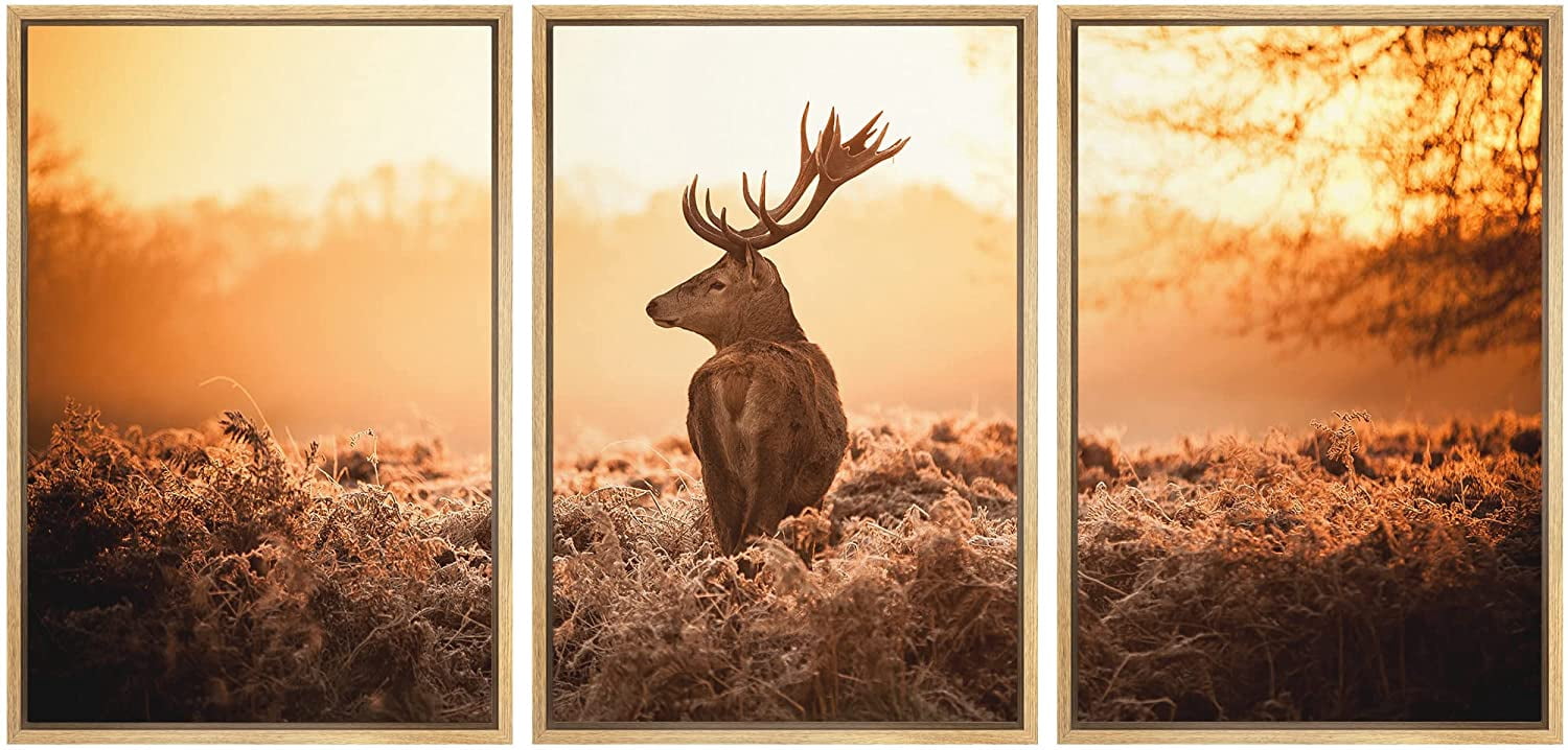 wall26 Framed Canvas Print Wall Art Set Deer in The Golden Morning Sun ...