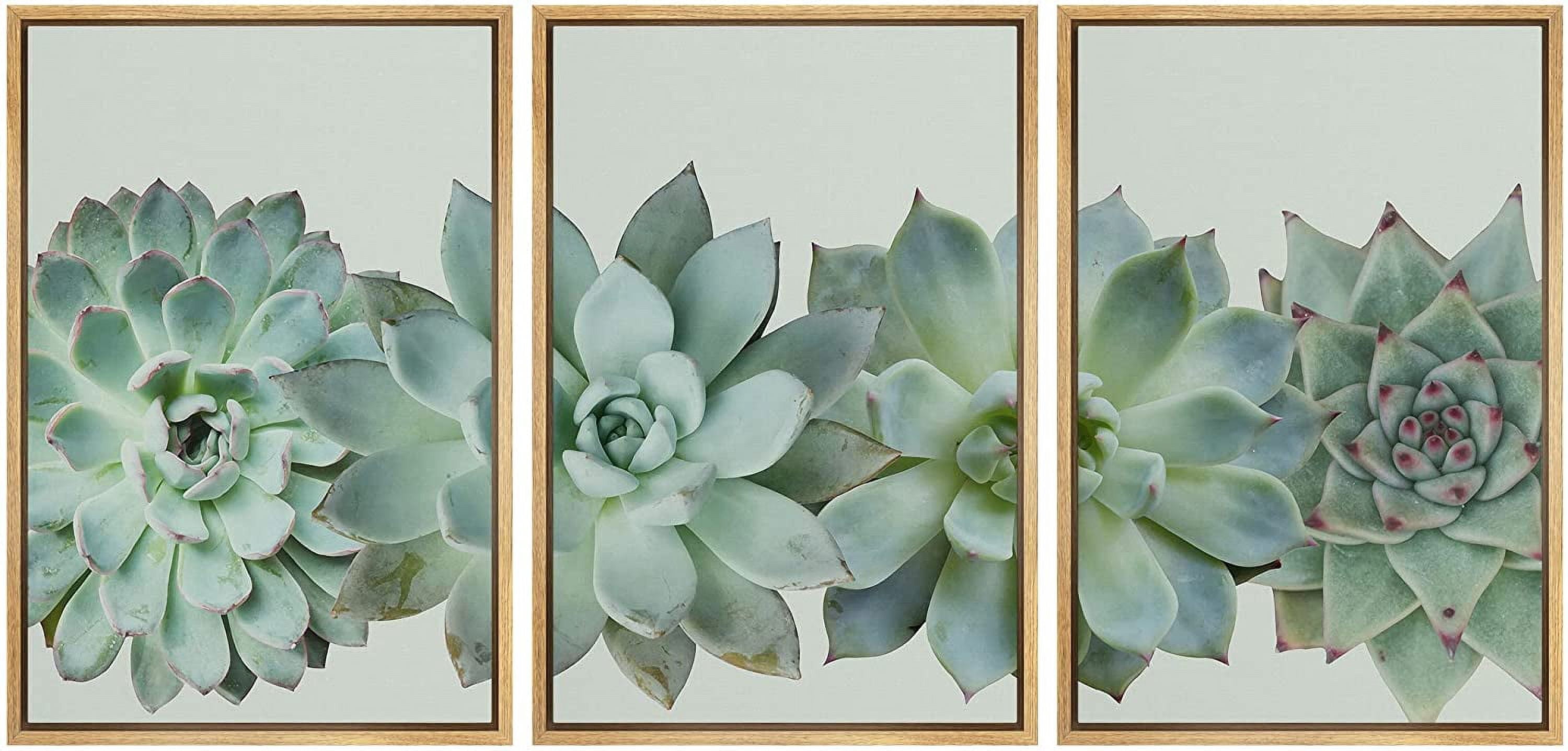 wall26 Framed Canvas Print Wall Art Set Desert Succulent Variety ...