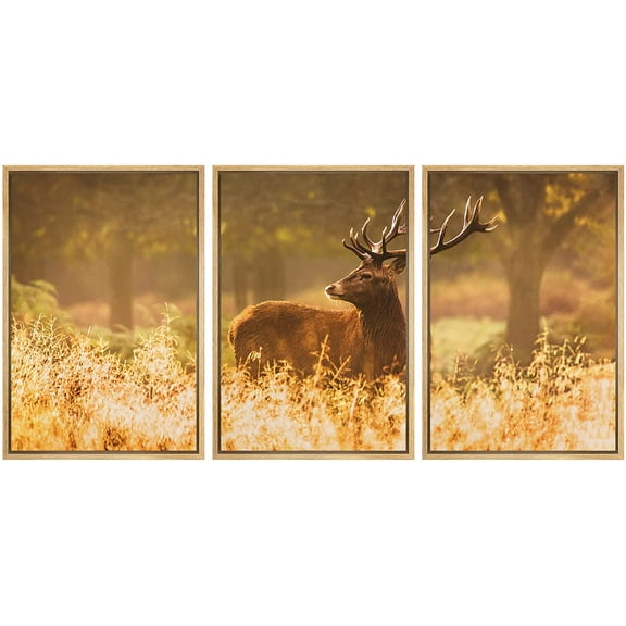 wall26 Framed Canvas Print Wall Art Set Golden Hour Sunset Wild Deer Stag Country Field Animals Nature Photography Realism Decorative Colorful for Living Room, Bedroom, Office - 24"x36"x3 N