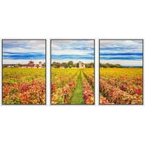 wall26 Framed Canvas Print Wall Art Set Italian Wine Grape Orchard Countryside Drinks & Cocktails Food Photography Realism Decorative Landscape for Living Room, Bedroom, Office - 24"x36&quot