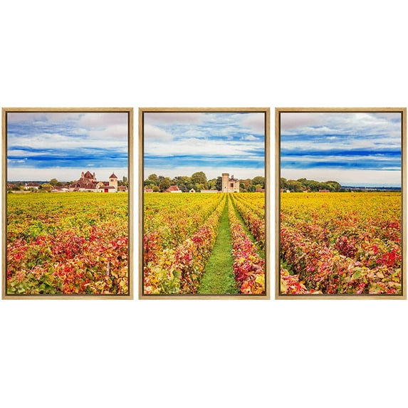 wall26 Framed Canvas Print Wall Art Set Italian Wine Grape Orchard Countryside Drinks & Cocktails Food Photography Realism Decorative Landscape for Living Room, Bedroom, Office - 24"x36"