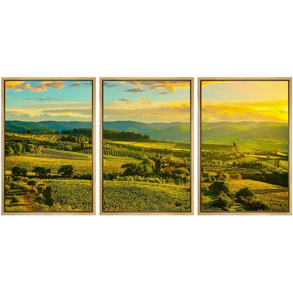 wall26 Framed Canvas Print Wall Art Set Italian Wine Vineyard Countryside Drinks & Cocktails Food Photography Realism Decorative Contemporary for Living Room, Bedroom, Office - 24"x36"x