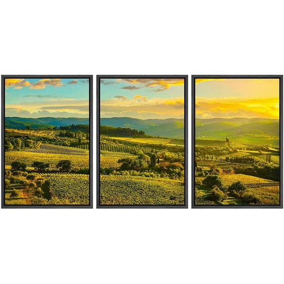 wall26 Framed Canvas Print Wall Art Set Italian Wine Vineyard Countryside Drinks & Cocktails Food Photography Realism Decorative Contemporary for Living Room, Bedroom, Office - 16"x24"x