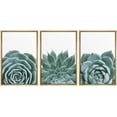 thumbnail image 1 of wall26 Framed Canvas Print Wall Art Set Minimal Haworthia Echeveria Cactus Nature Wilderness Photography Modern Art Bohemian Decorative for Living Room, Bedroom, Office - 16"x24"x3 Natural, 1 of 5