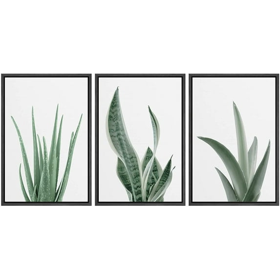 wall26 Framed Canvas Print Wall Art Set Minimal Snake Plant Agave Succulents Nature Wilderness Photography Modern Art Bohemian Decorative for Living Room, Bedroom, Office - 16"x24"x3 Black