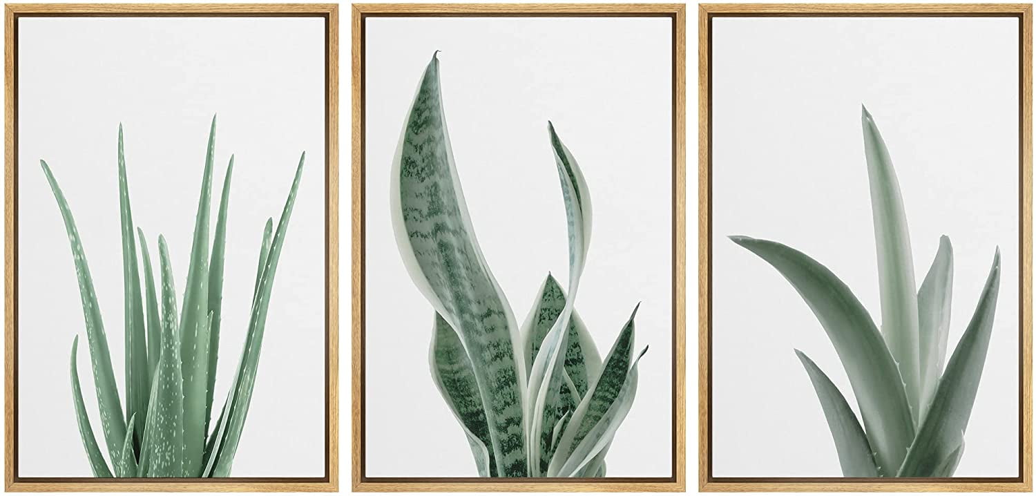 Natural MDF Framed Geometric Succulent Canvas Print Set
