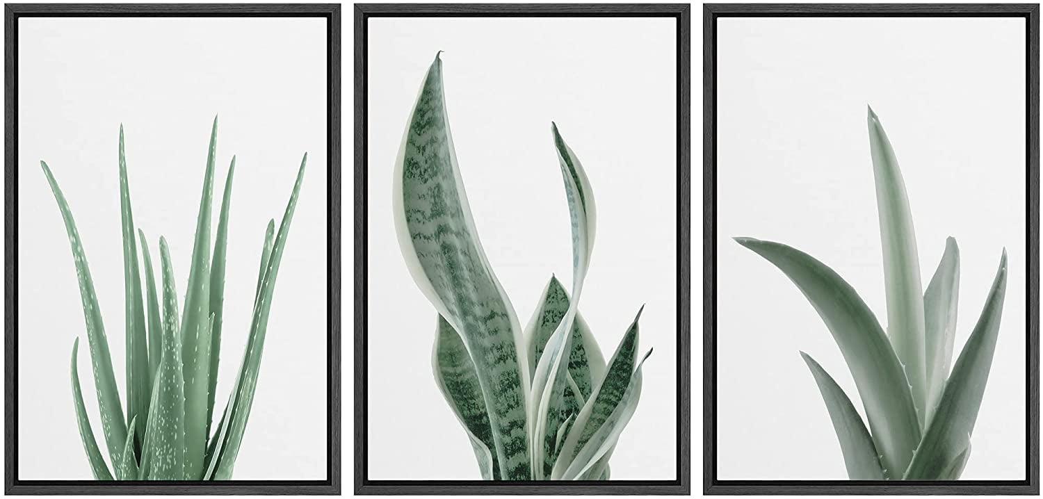Modern Black Framed Geometric Botanical Canvas Print Set