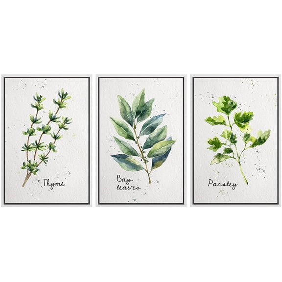 wall26 Framed Canvas Print Wall Art Set Pastel Thyme Bay Leaf Parsley Herbs Nature Wilderness Illustrations Modern Art Bohemian Decorative Rustic for Living Room, Bedroom, Office - 16"x24"x