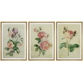 thumbnail image 1 of wall26 Framed Canvas Print Wall Art Set Pastel Watercolor Rose Daisy Flowers Nature Floral Illustrations Modern Art Rustic Botanical Relax/Calm for Living Room, Bedroom, Office - 24"x36"x3, 1 of 5