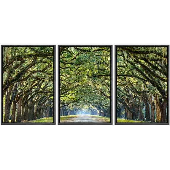 wall26 Framed Canvas Print Wall Art Set Path Through The Hanging Tree Archway Nature Wilderness Photography Realism Contemporary Colorful Ultra for Living Room, Bedroom, Office - 16"x24"x3 Black